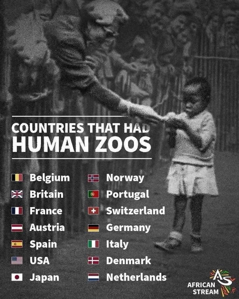 1743580348377.jpg