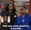 1787534430878.png 1787534430878.png